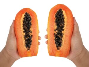 Papaya